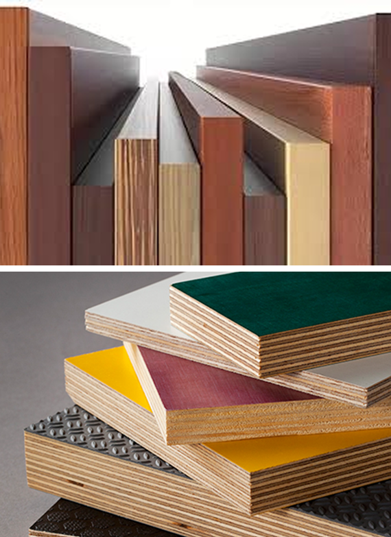 High-quality timber logs ready for export from Misarma Enterprise