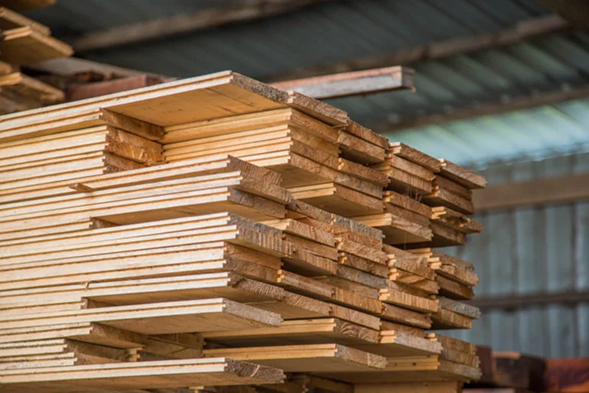High-quality timber logs ready for export from Misarma Enterprise