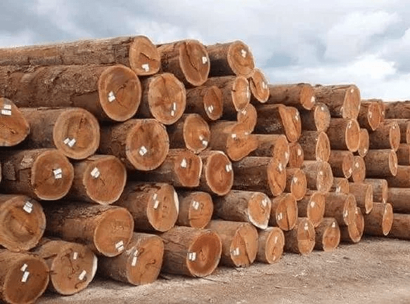 Quarantine fumigation process for wood and timber products
