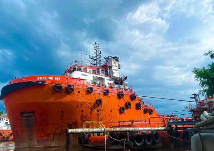 Vessel fumigation process for marine pest control