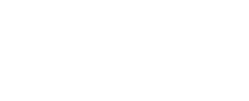Fast Delivery Icon