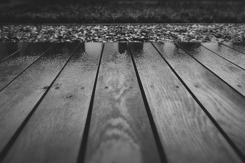 wood and rain