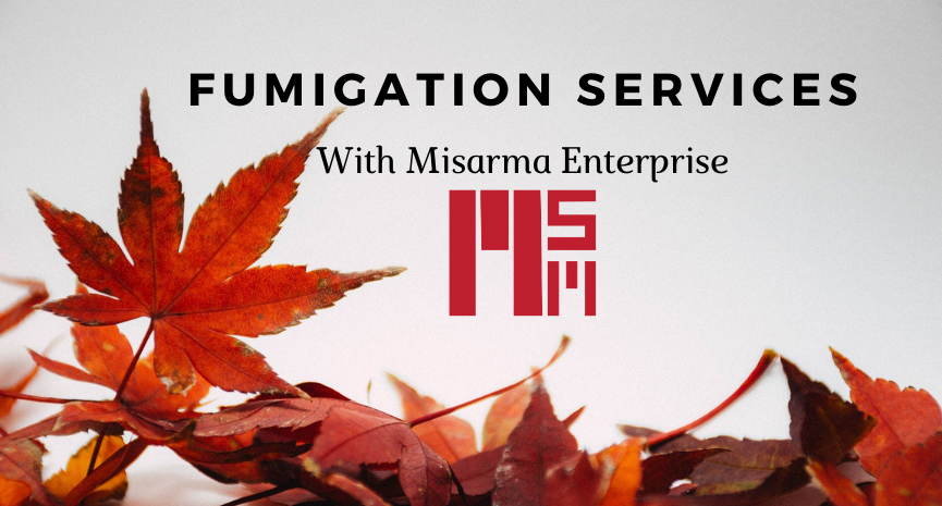 Fumigation Services