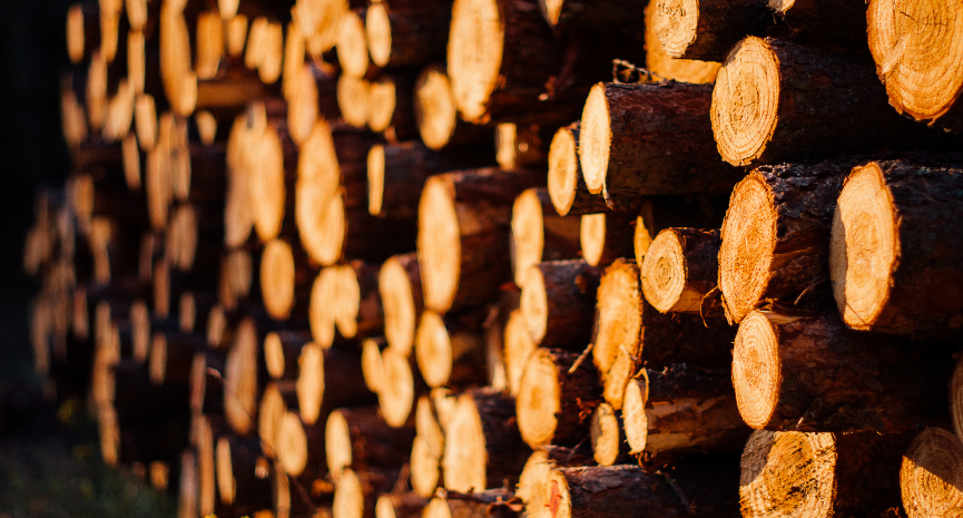 Wood Products Misarma Enterprise Miri Blog Feature Image