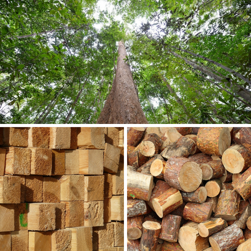 Timber products - Industrial Supplies
