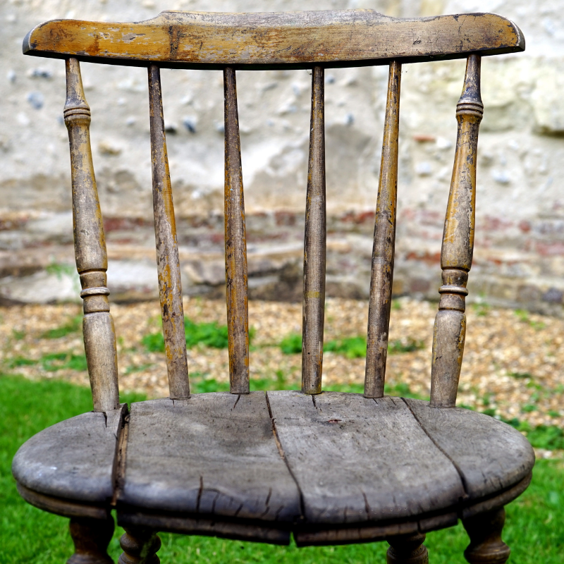 pest transplanted from furniture