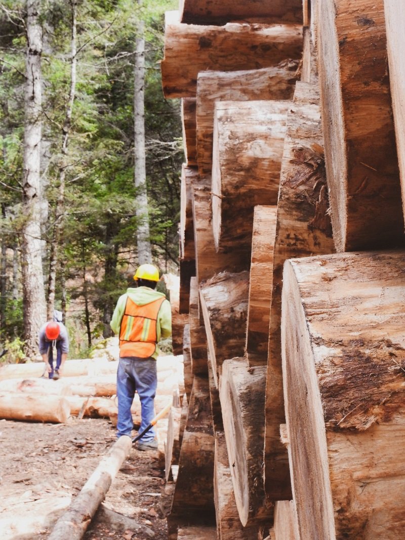 Logging machineries